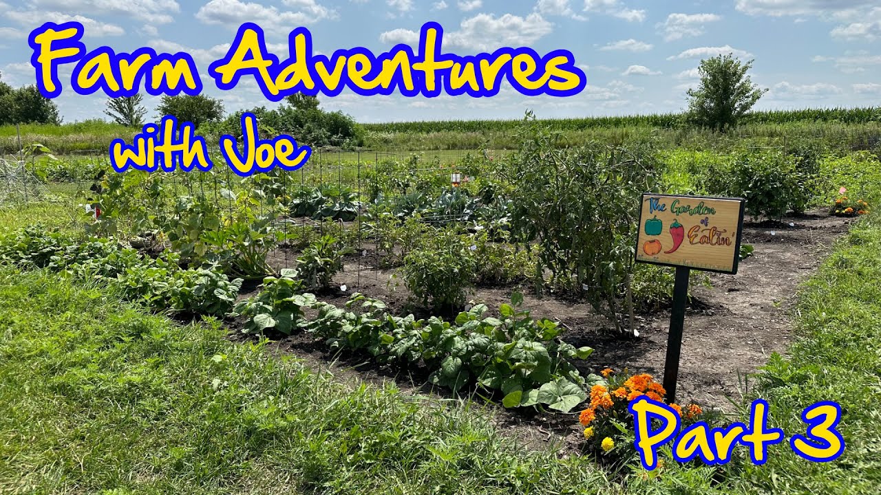 Farm Adventures - Part 3