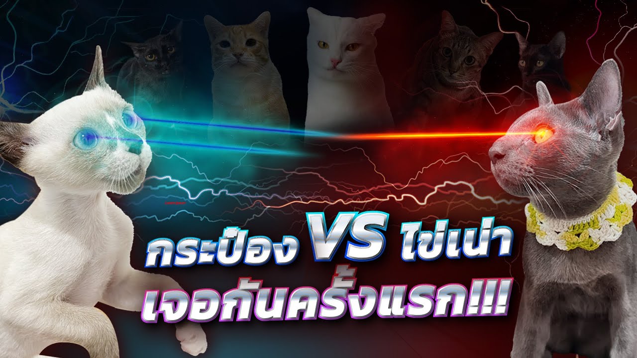 ครอบครัวไข่หวาน EP.3 | พากระป๋องกับไข่เน่าเจอกันครั้งแรก!!