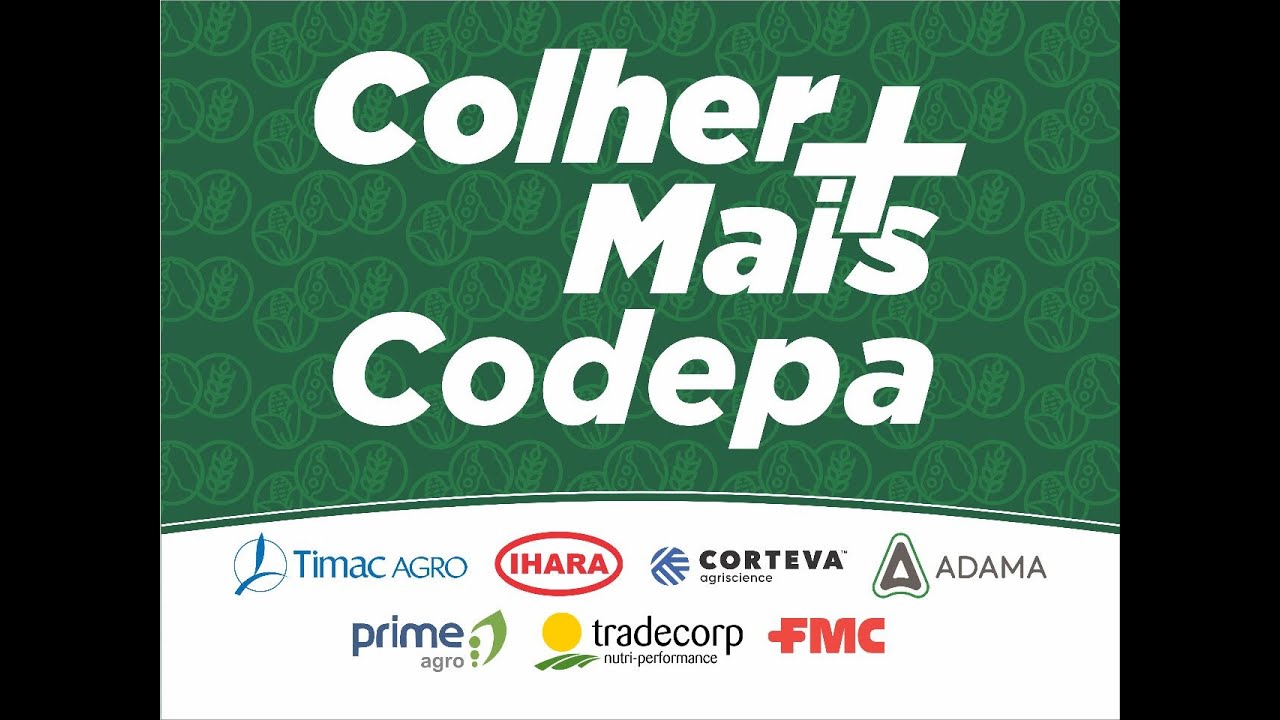 Codepa - Colher Mais 2024