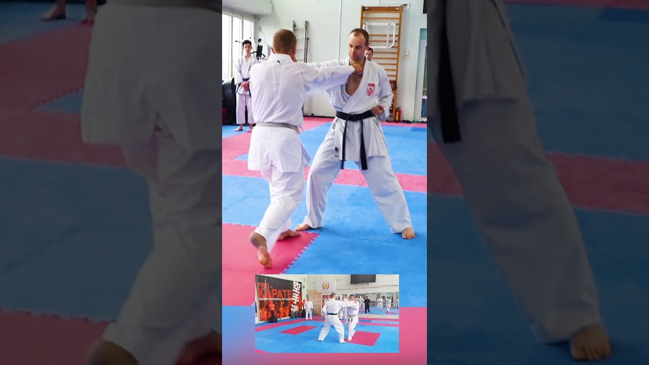 Bunkai Junro Sandan Slowly 