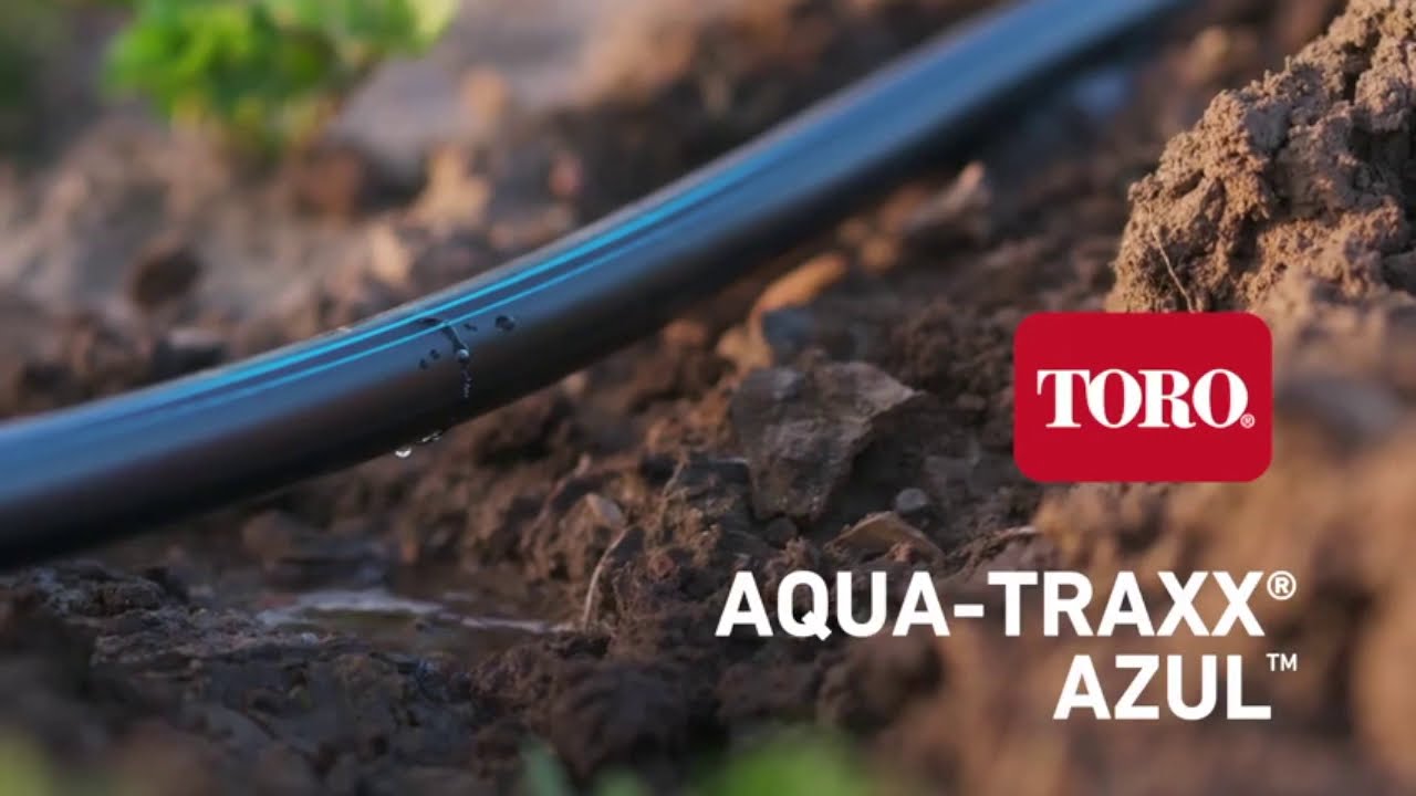 CINTILLA AQUA TRAXX AZUL -TORO