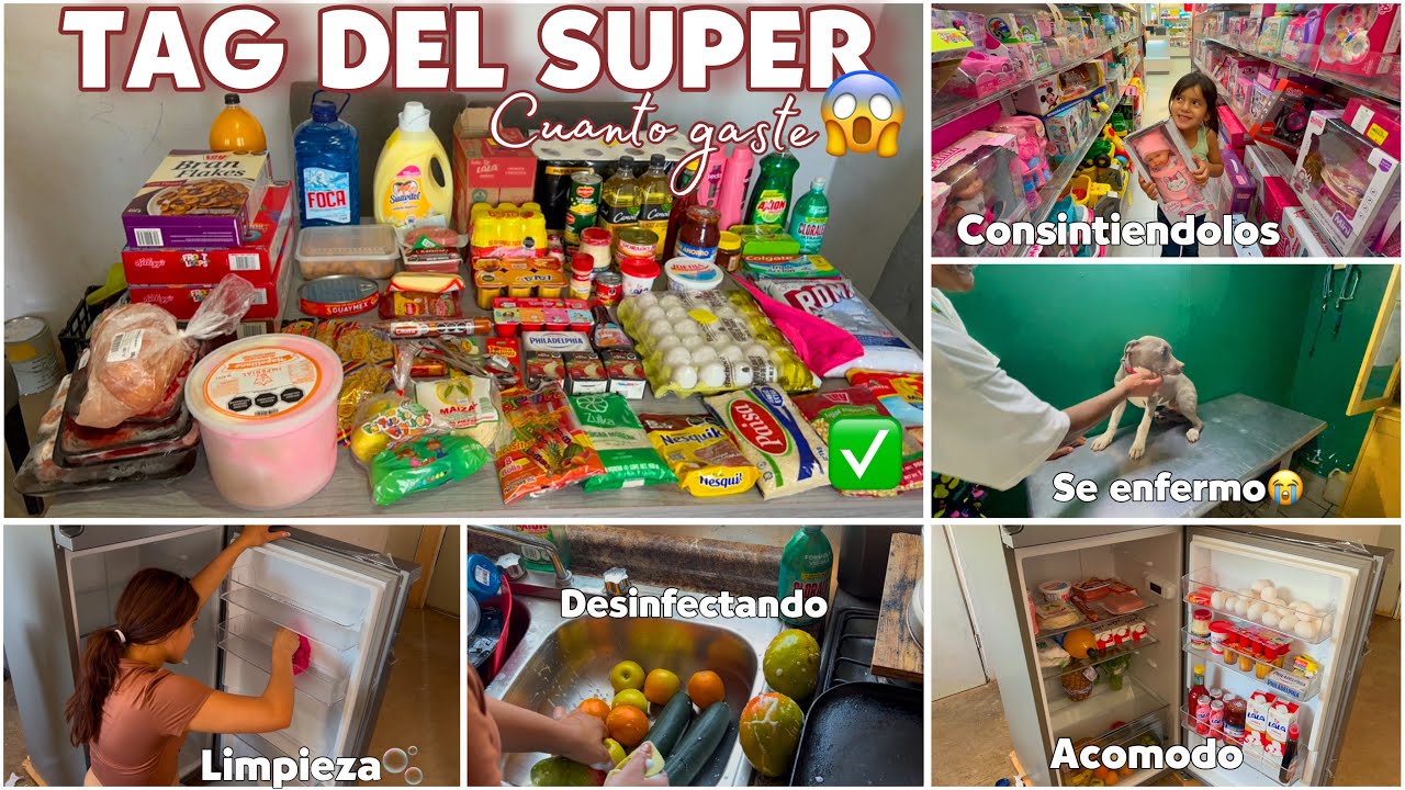 MEGA😱DESPENSA🛒🥑🍎QUINCENAL/cuanto fue?💰/estrenando el Refrigerador NUEVO✔️limpieza🧽🫧y acomodo/rocky🕊️