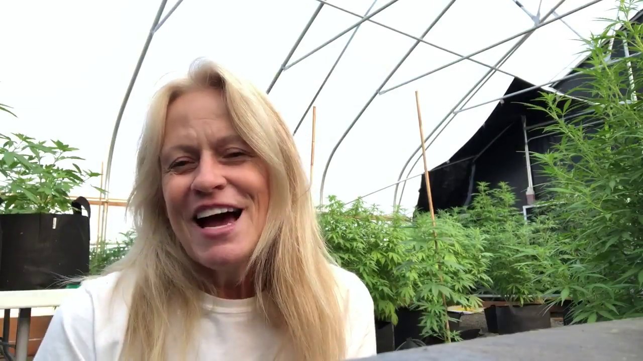 2 Books You Need to Read Before You Grow Your First Cannabis