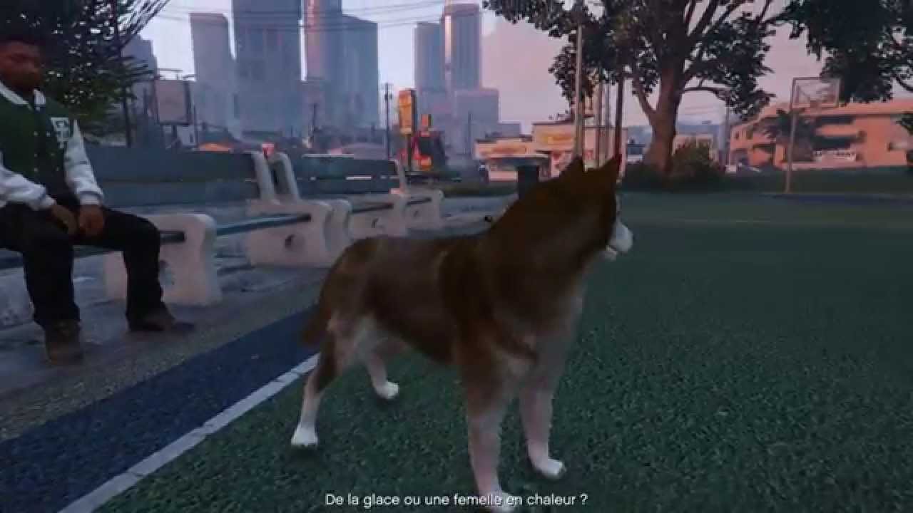 GTA 5 - Play as animal - Chien/Dog 1 (peyote)