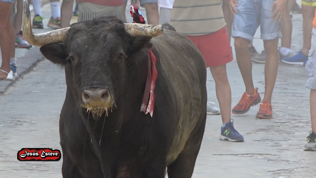 UN TORO CON UN CUERNO PERO REPARTIENDO, QUARTELL 27 07 2017