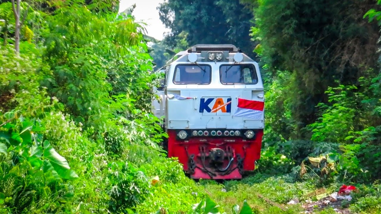 TERABAS POHON‼️KERETA NGEBUT BLUSUKAN | KERETA BERJALAN DI REL YANG TERTUTUP RUMPUT & POHON