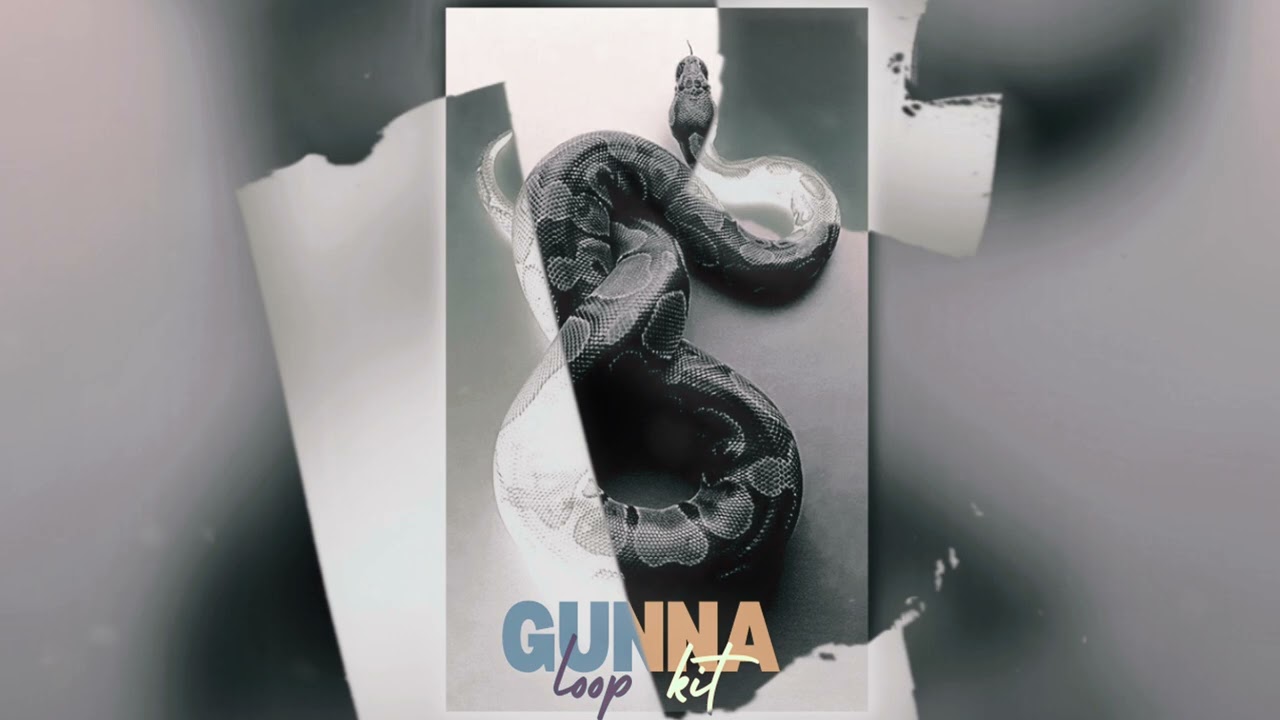 [FREE] GUNNA X DON TOLIVER LOOP / SAMPLE KIT 