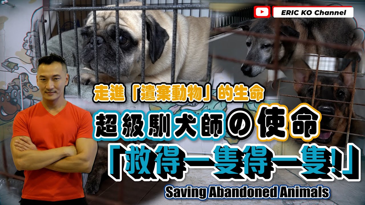 走進『遺棄動物』的生命超級馴犬師之使命『救得一隻得一隻』 Saving Abandoned animals