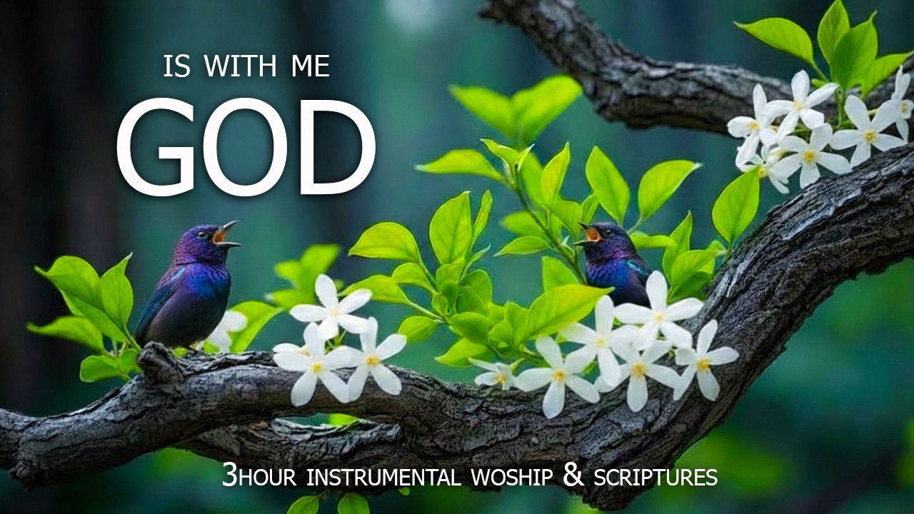 ABIDE WITH ME : Soothing Worship Piano & Powerful Bible Verses Set Against a Beautiful Bird