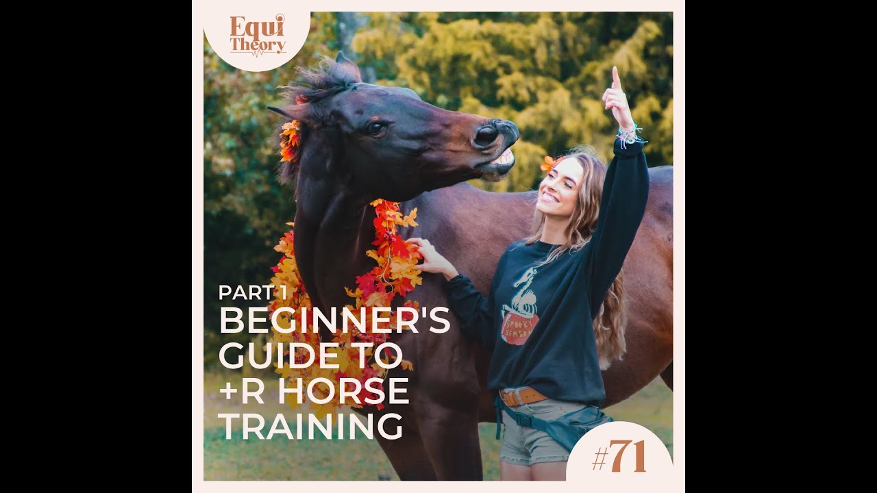 71. Beginner&rsquo;s Guide to +R Horse Training (Pt. 1)