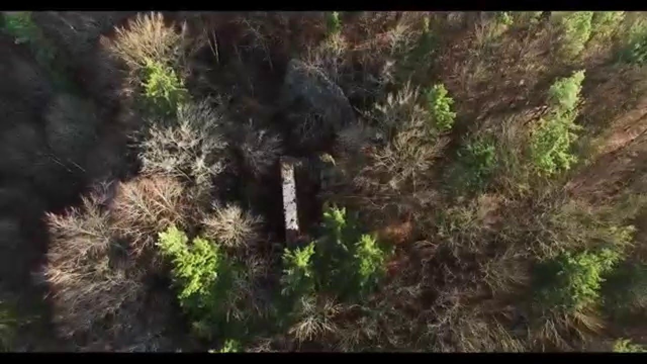 Ruine Ro&szlig;stein von oben - DJI Phantom 3