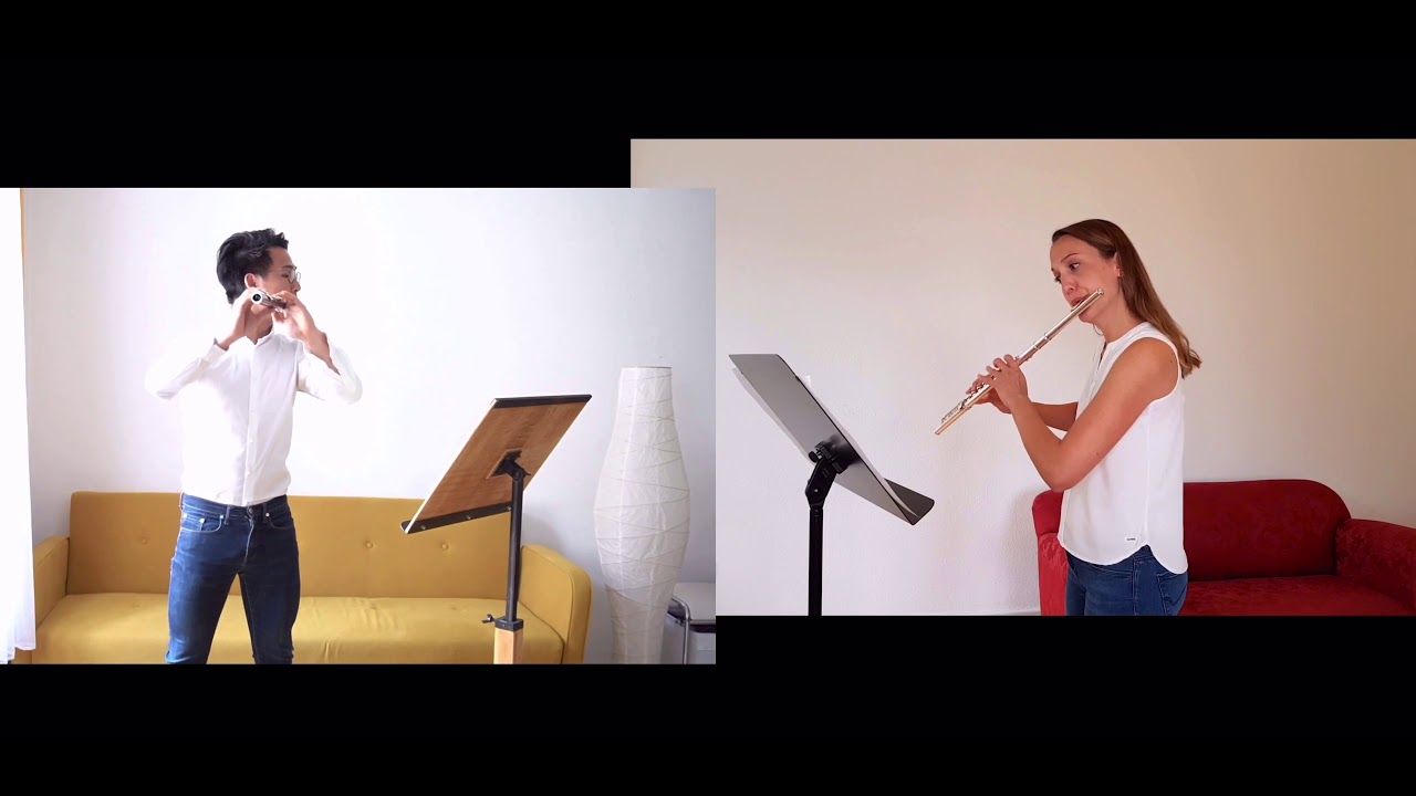 Sonate für zwei Flöten in h-Moll - G. P. Telemann