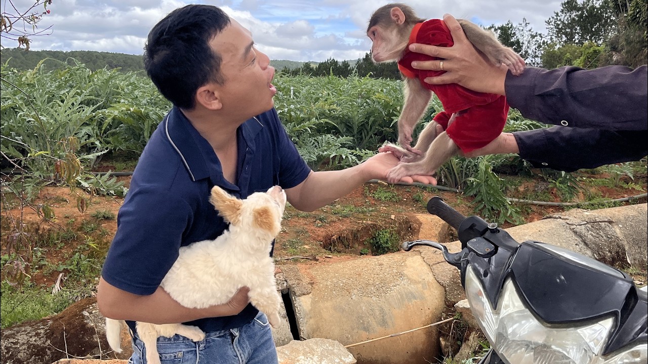 It couldn't be more wonderful! A stranger picked up Max and helped him home