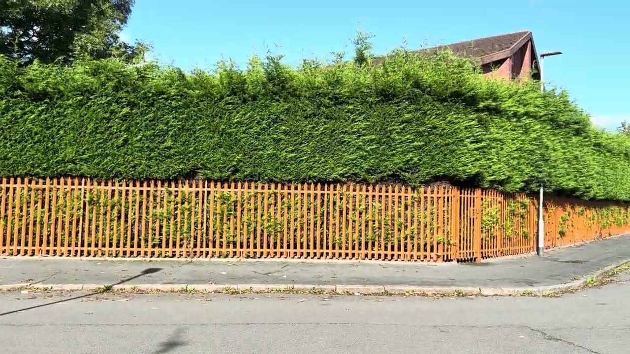 Manchester-Walking Through New Moston: A Visual Journey 10