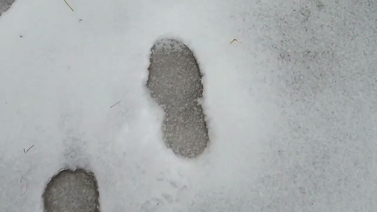 Экстремальные дни .  Обледенение .Поход в лес .Extreme days. Icing conditions. A trip to the forest.
