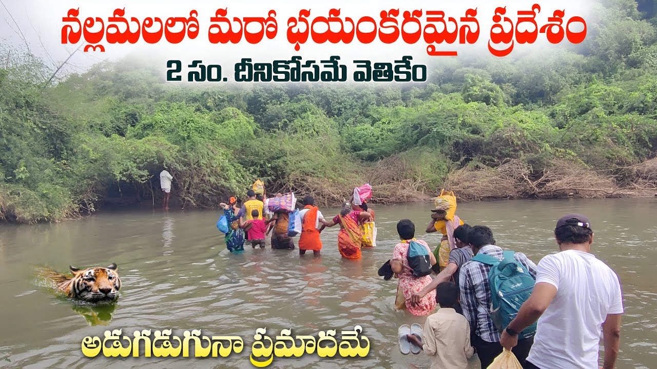 కార్తీక పౌర్ణమి రోజు శ్రీశైల తూర్పుద్వారం. karthika masam. nallamala. srisailam route. Bhairava sela