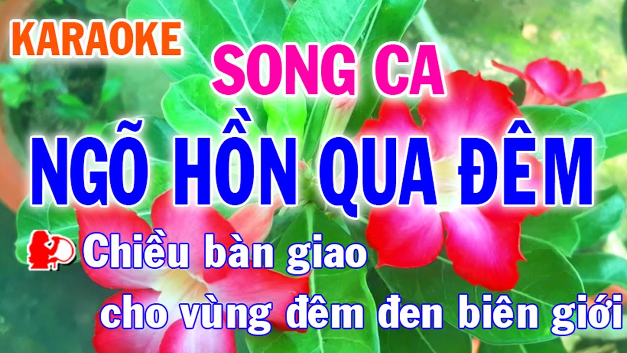 Karaoke Ngõ Hồn Qua Đêm Song Ca Nhạc Sống - Phối Mới Dễ Hát - Nhật Nguyễn
