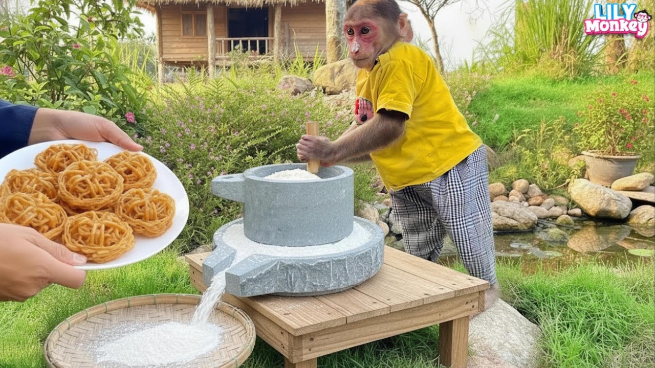 Wow! Smart Lily knows how to grind rice flour and help dad make cakes | Lily's story