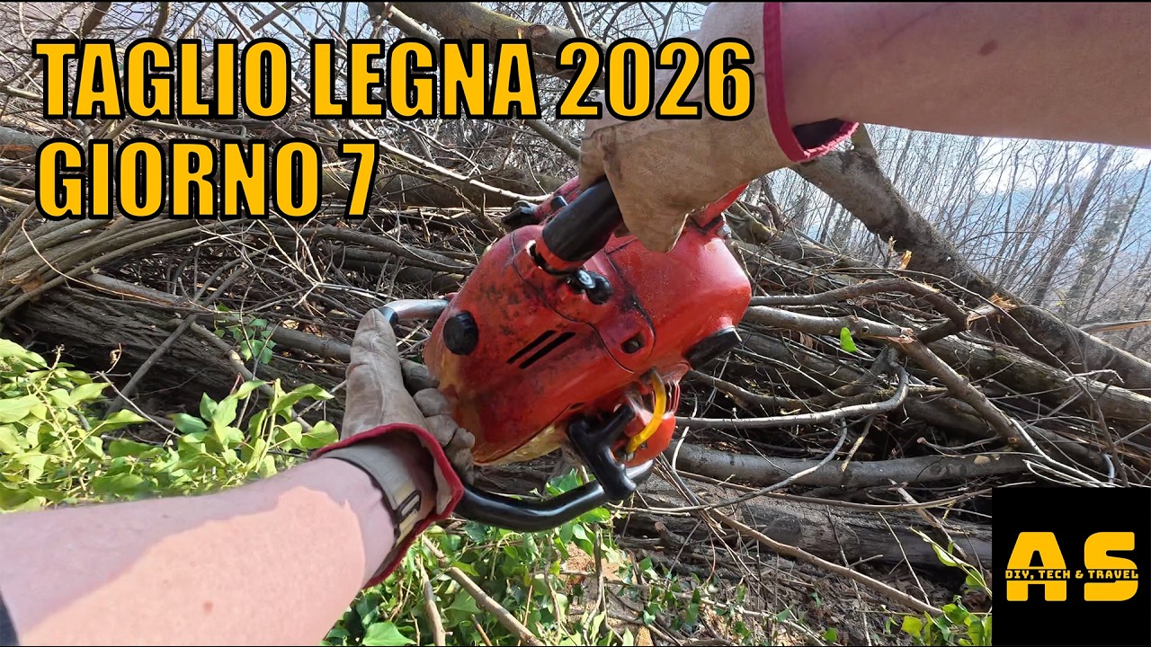 TAGLIO LEGNA 2026 - Giorno 7
