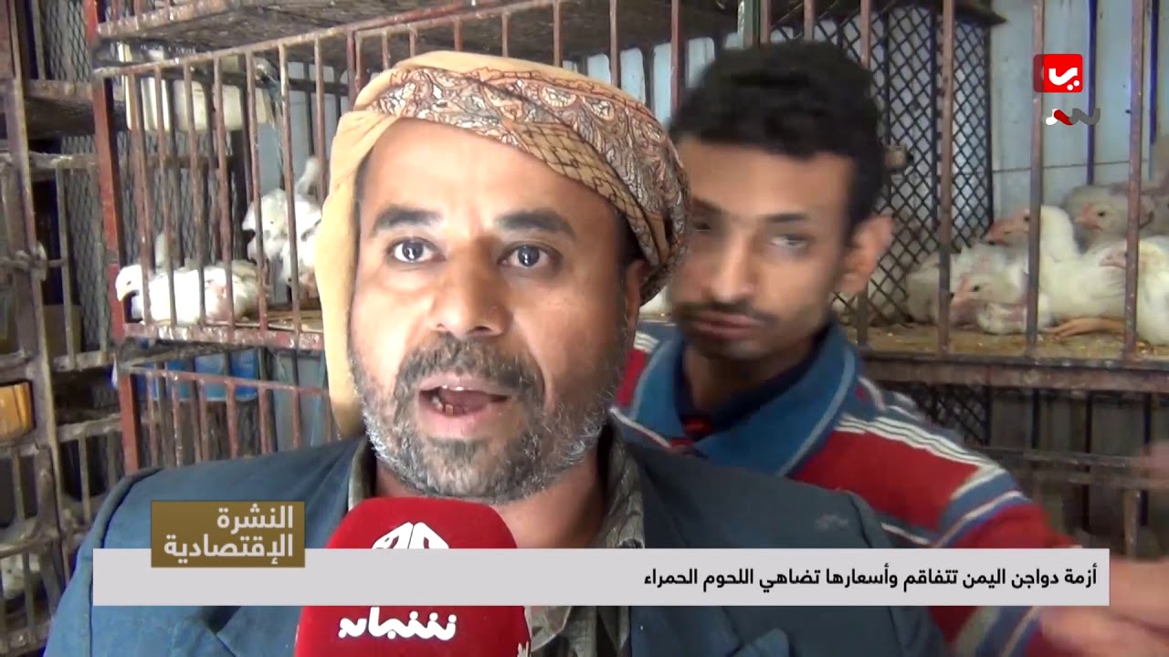 أزمة الدواجن في اليمن تتفاقم .. وأسعارها تضاهي اللحوم الحمراء   | تقرير يمن شباب