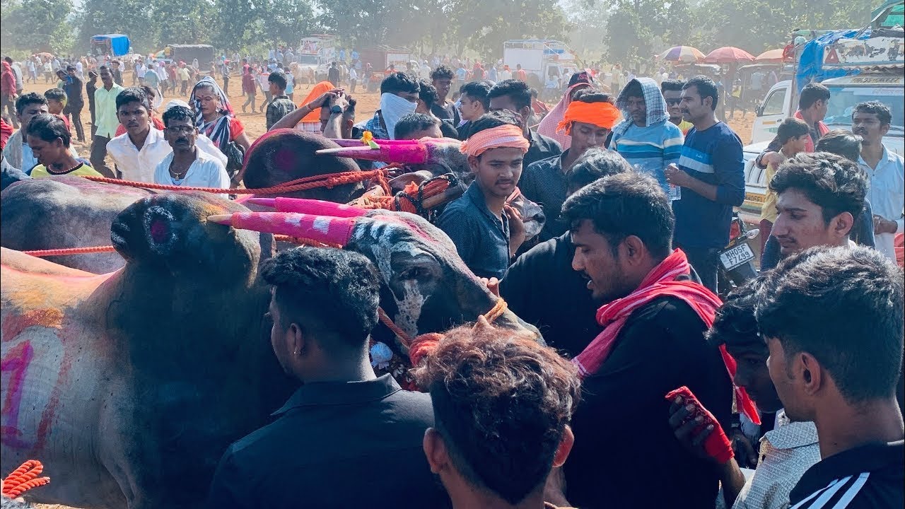 मथुर ला बघायला आलेली PUBLIC 🚀😍❤️‍🔥  #bailgada #बैलगाडा #bailgadasharyat #शर्यत #bullock