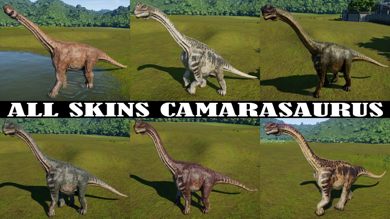 ALL SKINS CAMARASAURUS | JURASSIC WORLD EVOLUTION