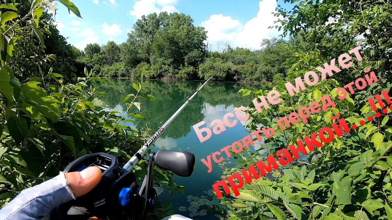 Техасская оснастка /Texas Rig/ в комбинации с Senko, приманка номер один для ловли Басса.