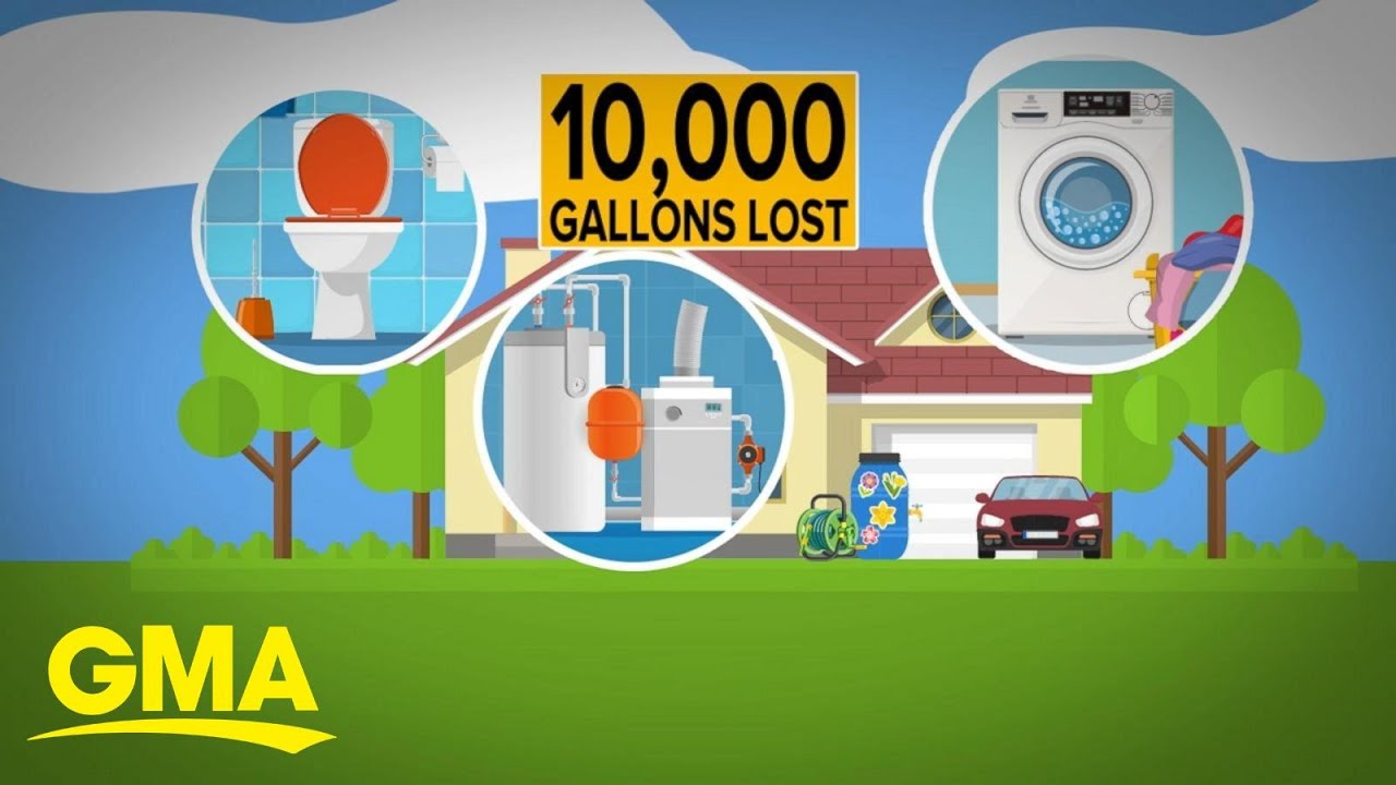 Extraordinary Earth: Ways to protect the environment from home l GMA