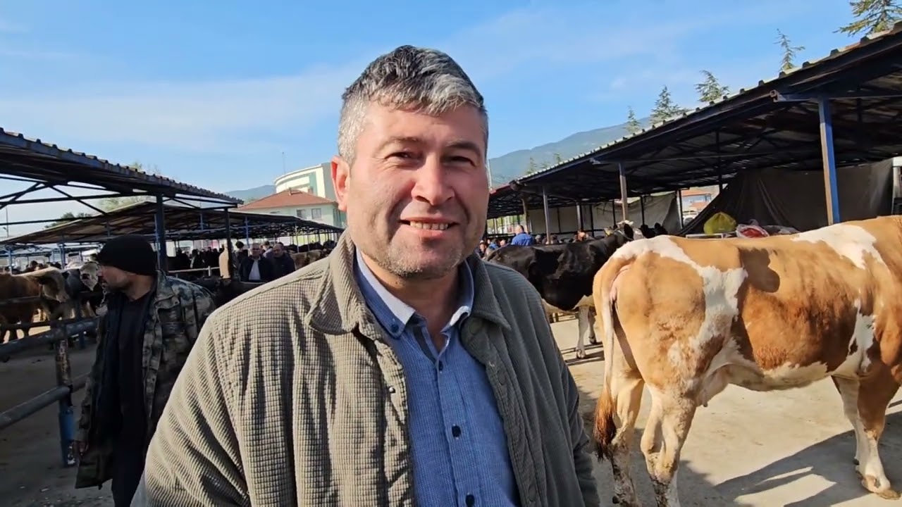 KÜTAHYA SİMAV HAYVAN PAZARINDAN GÖRÜNTÜLER 29-04-2025