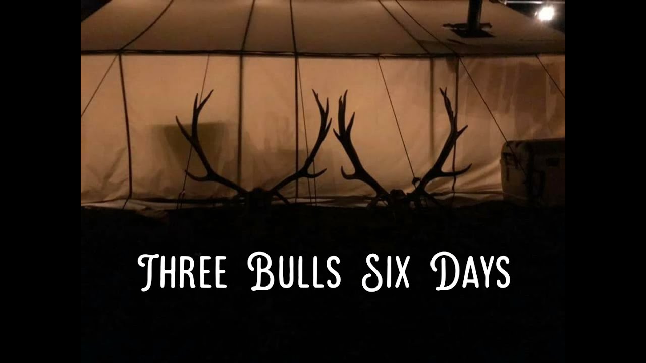 3 bulls 6 days A Washington state Elk hunt