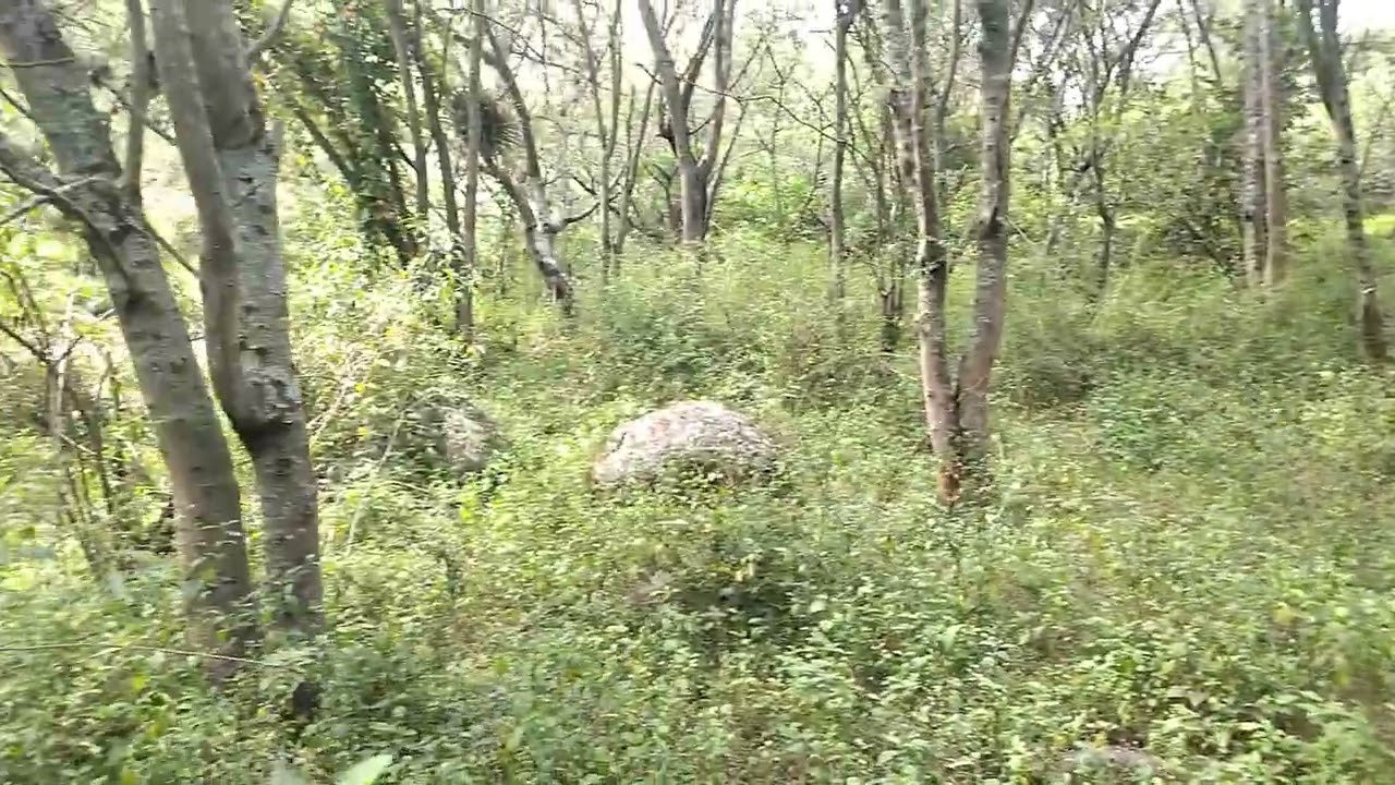 CAMINATAS Y AVENTURAS AL EXTREMO SALUDO QUE DIOS ME.LOS CUIDE EN ESTE NUEVO DIA Y SUSCRIBETE