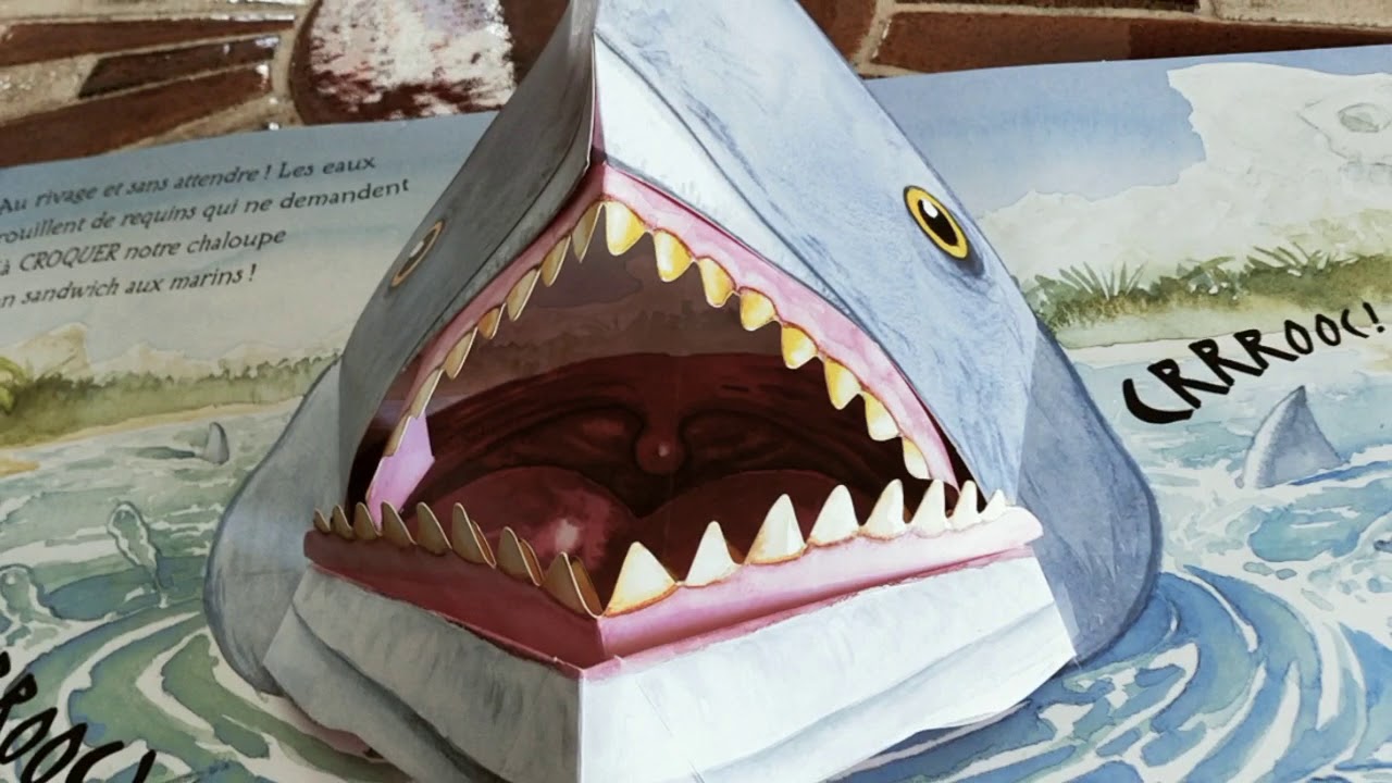 Découverte d'un pop up ou livre à système