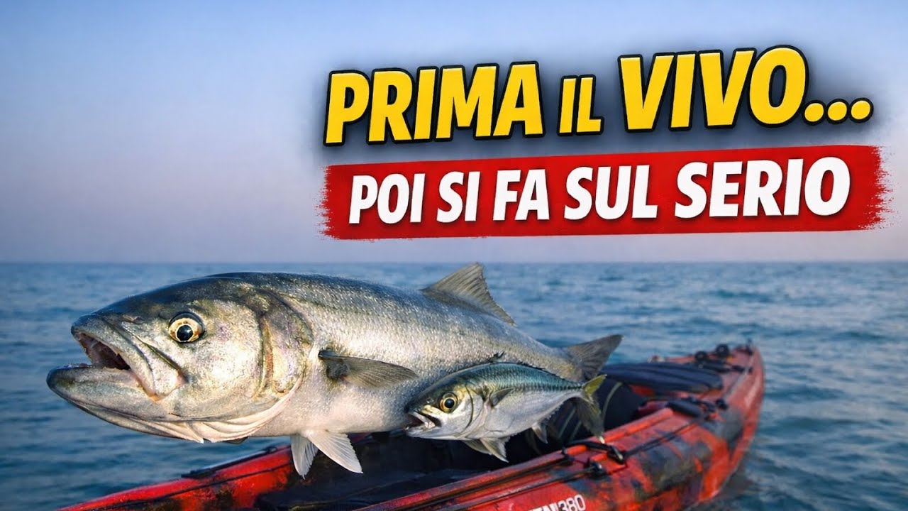 In Kayak: Trainetta per il vivo, per pesci serra.