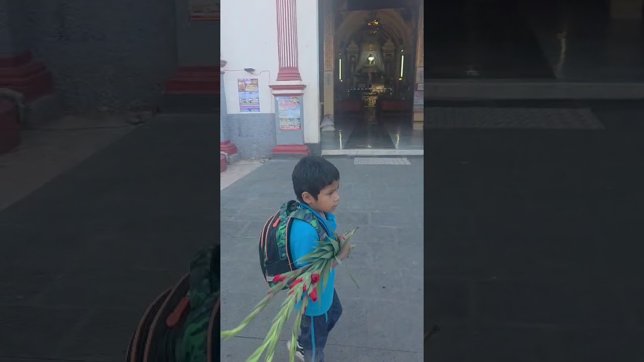 Santo entierro xalpatlahuac 