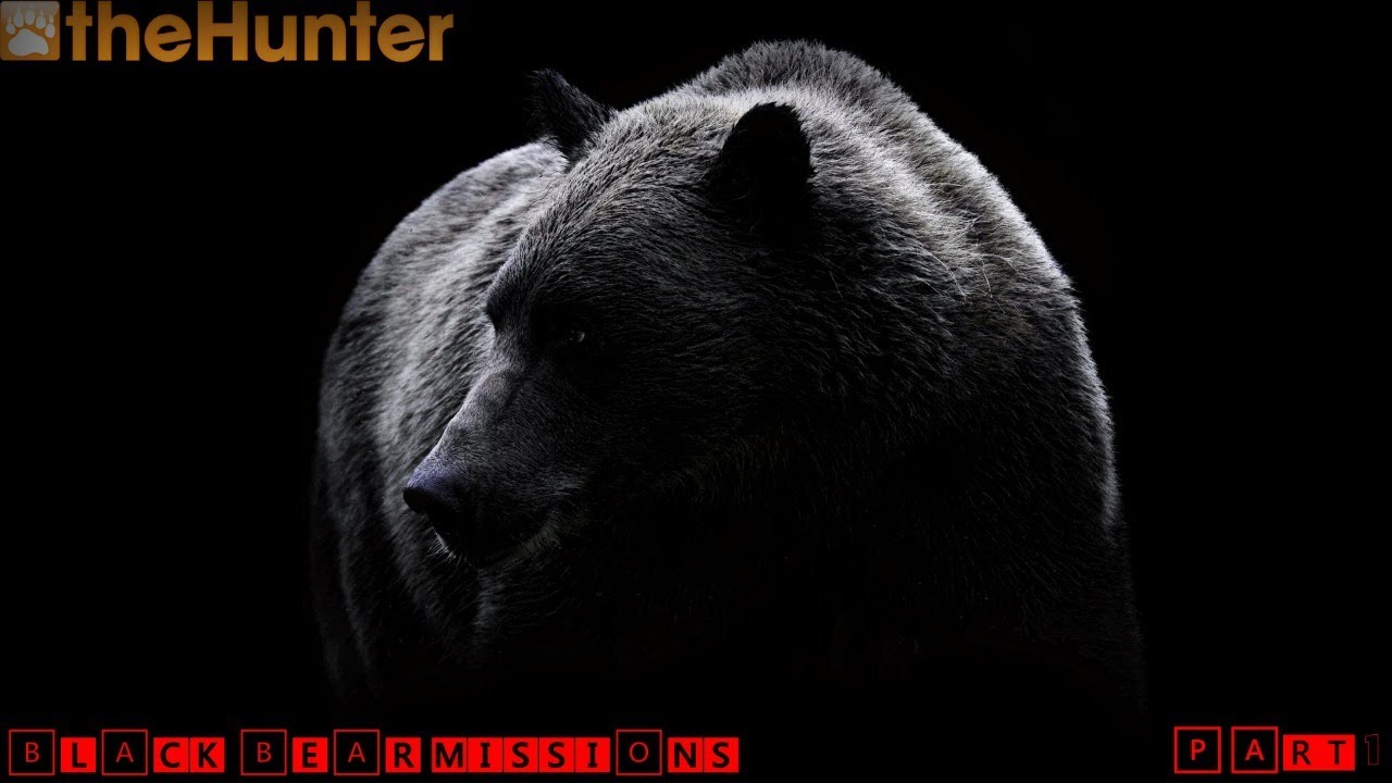 ♢ theHunter Classic ♢ Black Bear Missions ♢ part 1 ♢ Миссии на барибала ч. 1 ♢