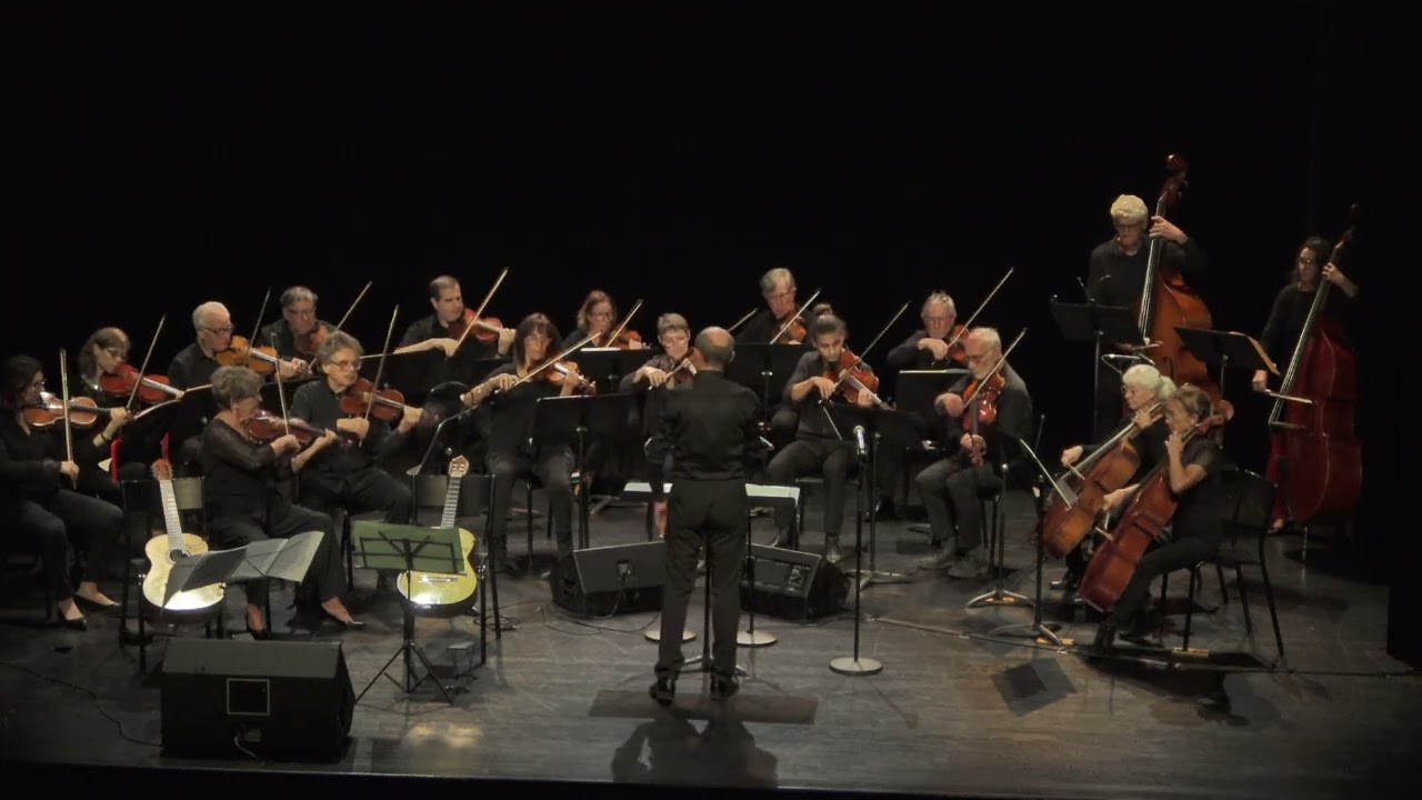 A. Vivaldi : Concerto pour cordes 