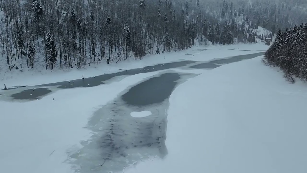 Шаори зима 2026, Грузия