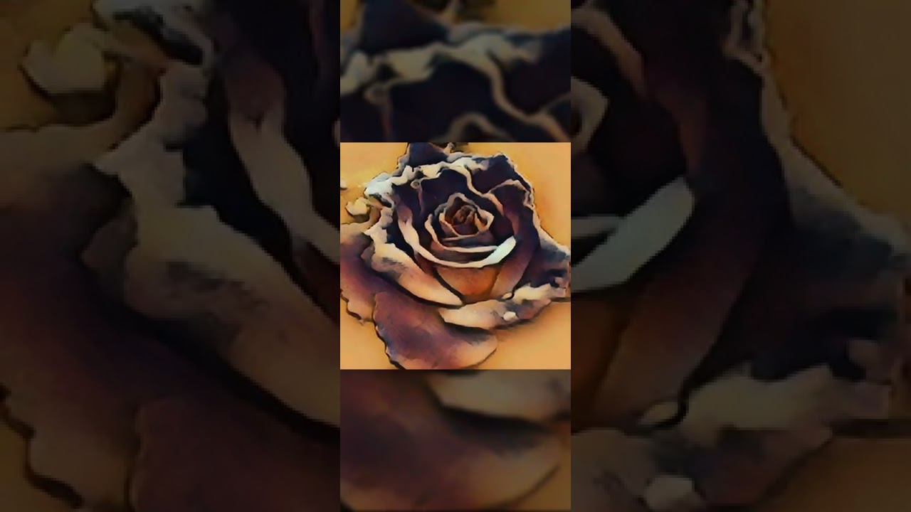 RosesR@mdigital556
