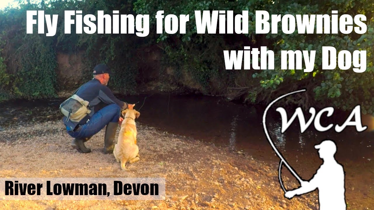 Fly fishing for trout with my dog
