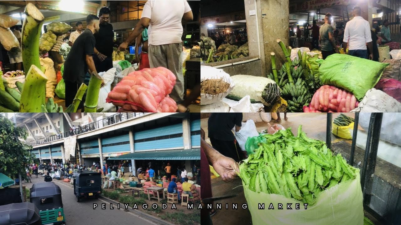 ලංකාවේ විශාලතම තොග වෙළඳ මධ්‍යස්ථානය.🥕🥬🍅🌶 The largest wholesale market in sri lanka🇱🇰@everyscenelk