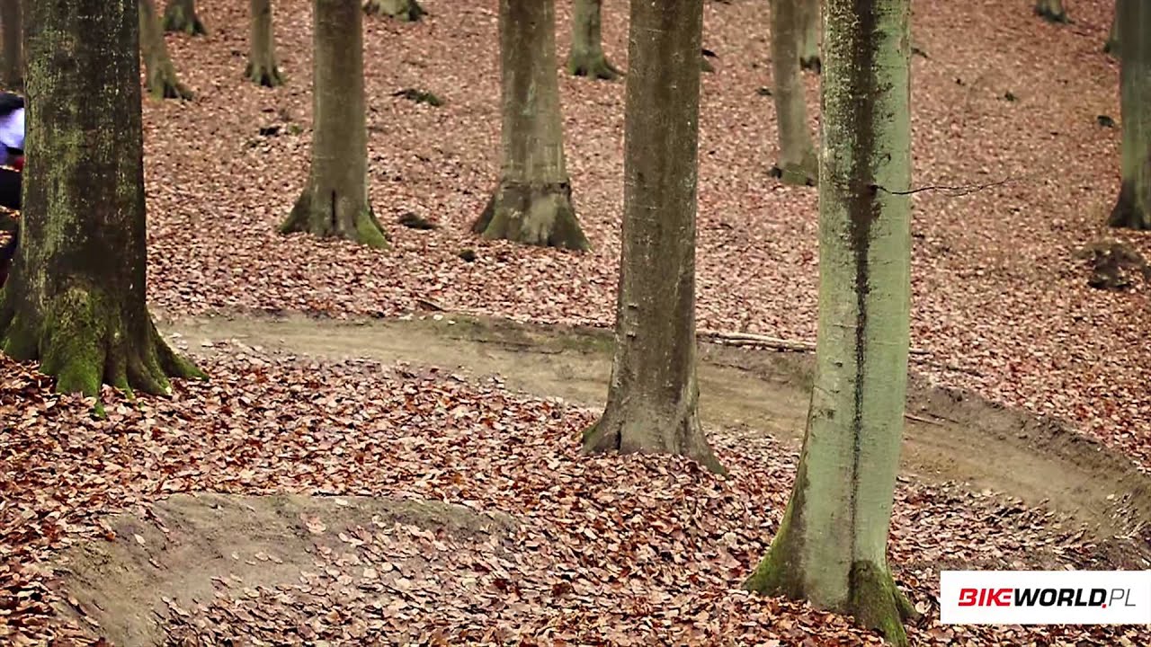 Test: Romet Tool 27,5 1.0 (2015)