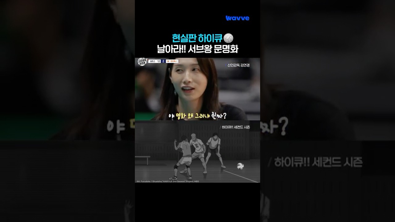 원더독스의 서브왕 문명화🏐