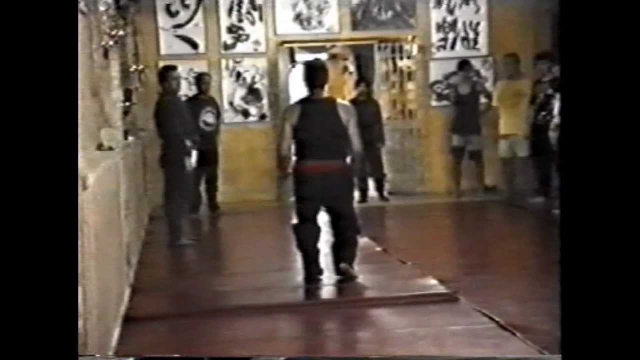 1995 August UCN International Seminar (Part 01)