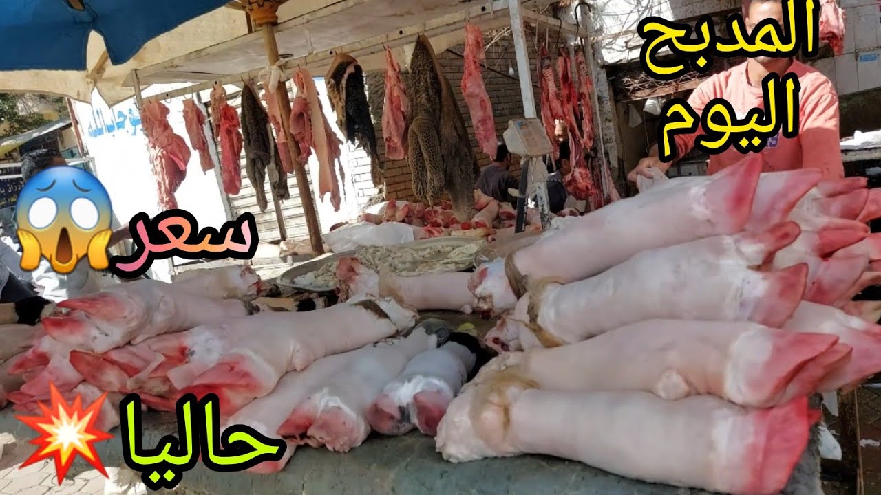 فروشات من قلب🙋‍♀️المدبح بالاسعار💥 كوارع ممبار لحمه راس فشه عكاوي كرشه كبده لحم طحال كلاوي لسان