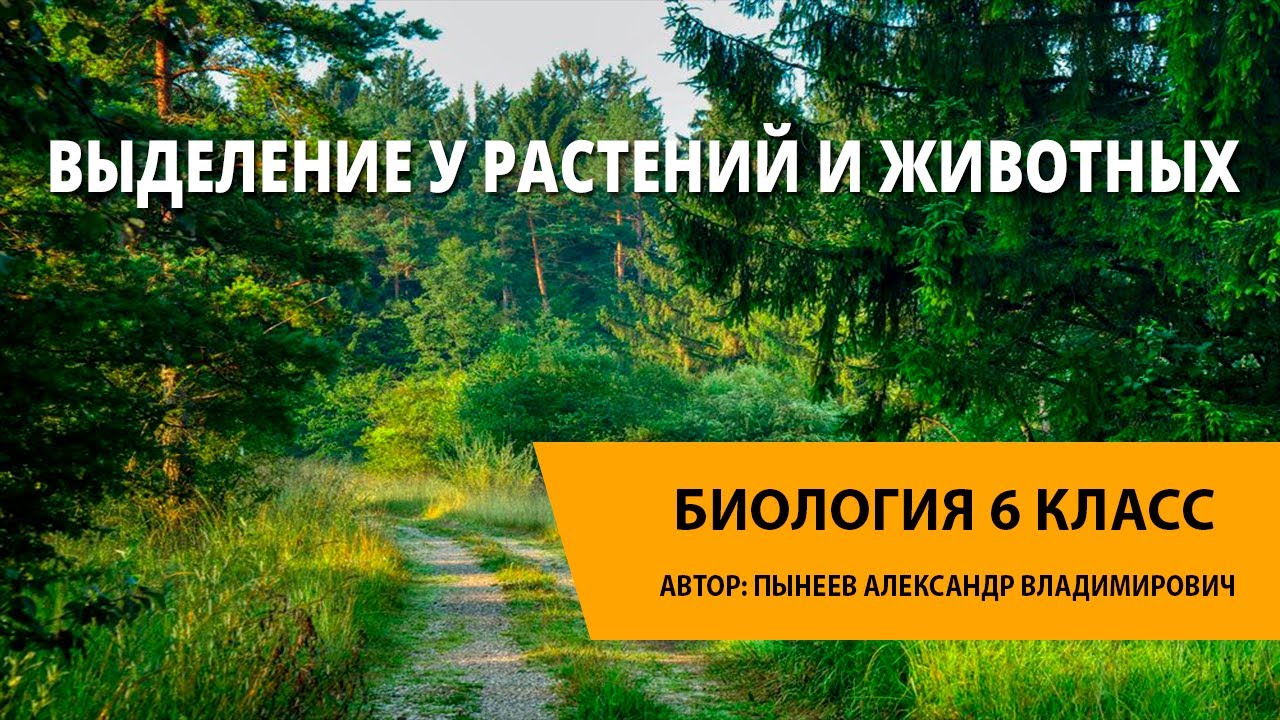 Выделение у растений и животных