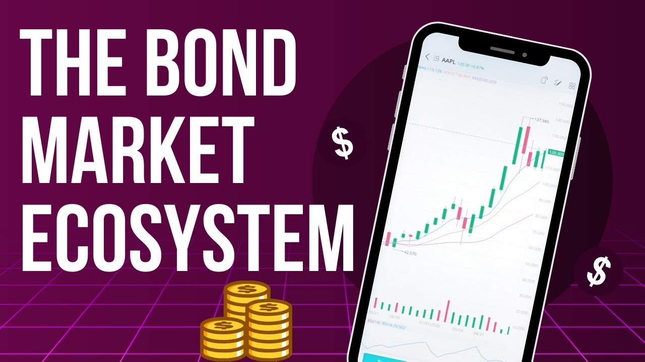 FIS Chart 1.2 The Bond Market Ecosystem
