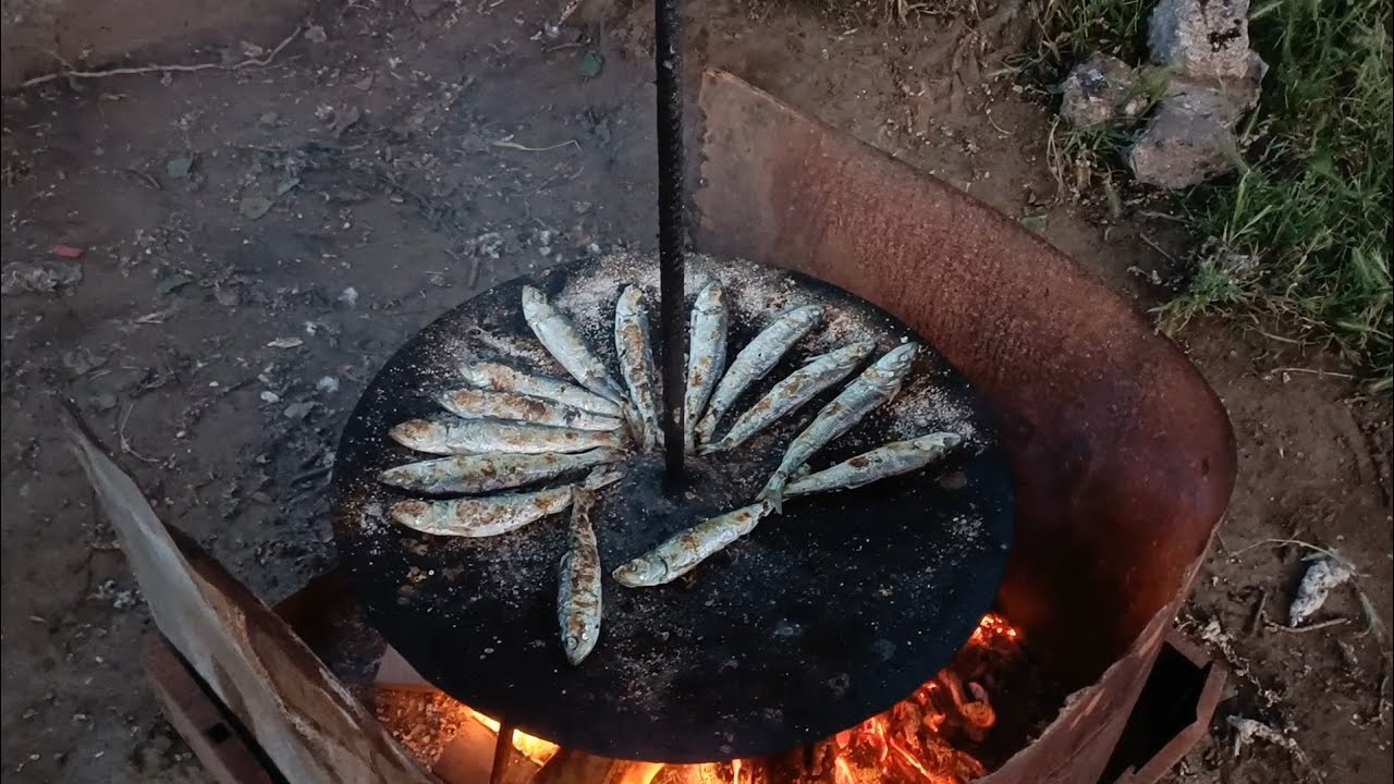 Pescuit și grătar de scrumbie pe malul Dunării. Ambianța plăcută.
