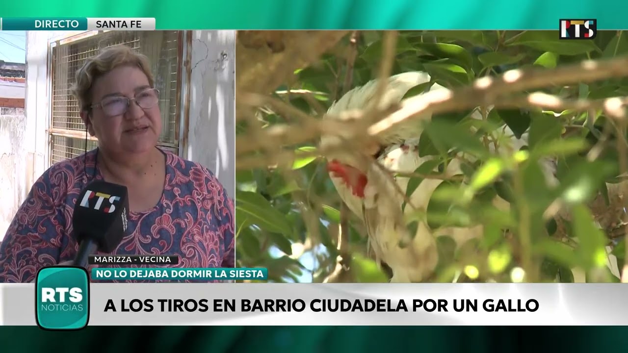 A LOS TIROS POR UN GALLO EN BARRIO CIUDADELA | CONFLICTO ENTRE VECINOS EN SANTA FE