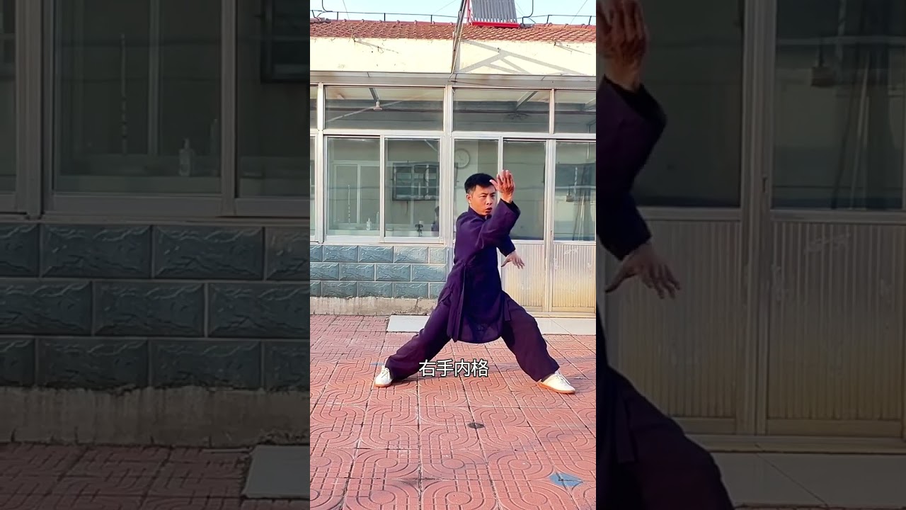 Master Wudang Xuanwu Quan from Zero: Your Ultimate Martial Arts Journey
