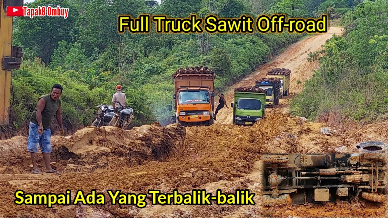 Hino Dutro Xpower Tak Mau Kalah Oleh Fuso Oren Walaupun Tanjakan Berlumpur Tebal